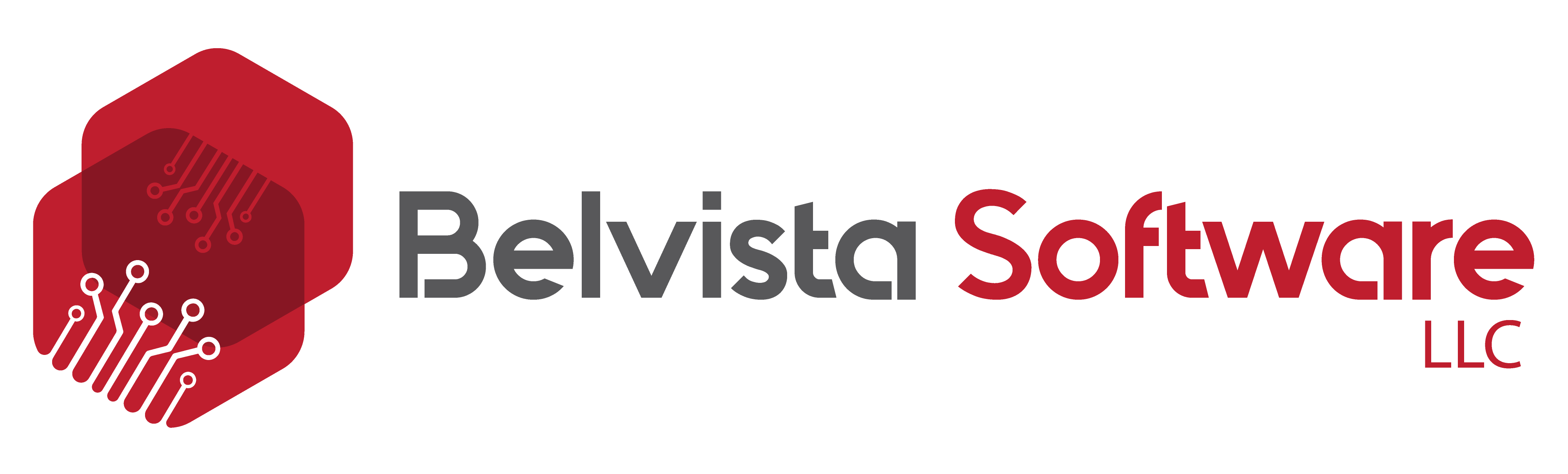 Belvista Software LLC Logo